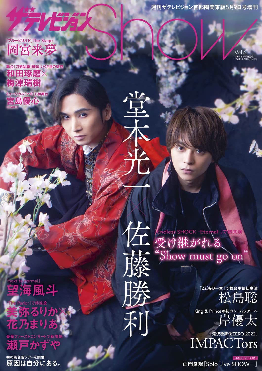 Amazon.co.jp: ザテレビジョンShow Vol.6 : 本